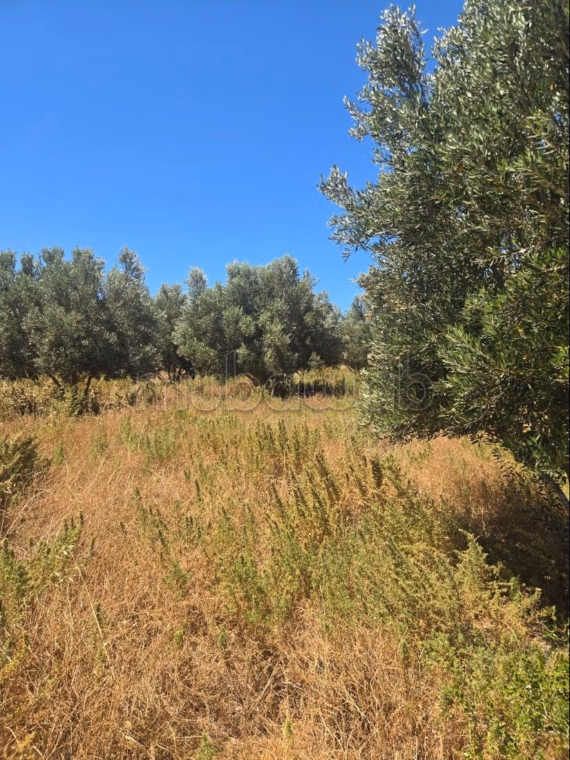 Vente terrain à Idaougard. Superficie 24000 m²
