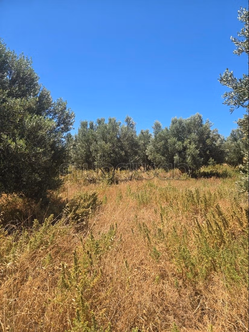 Vente terrain à Idaougard. Superficie 24000 m²