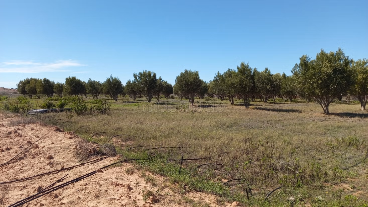 Vente terrain à Idaougard. Superficie 24000 m²