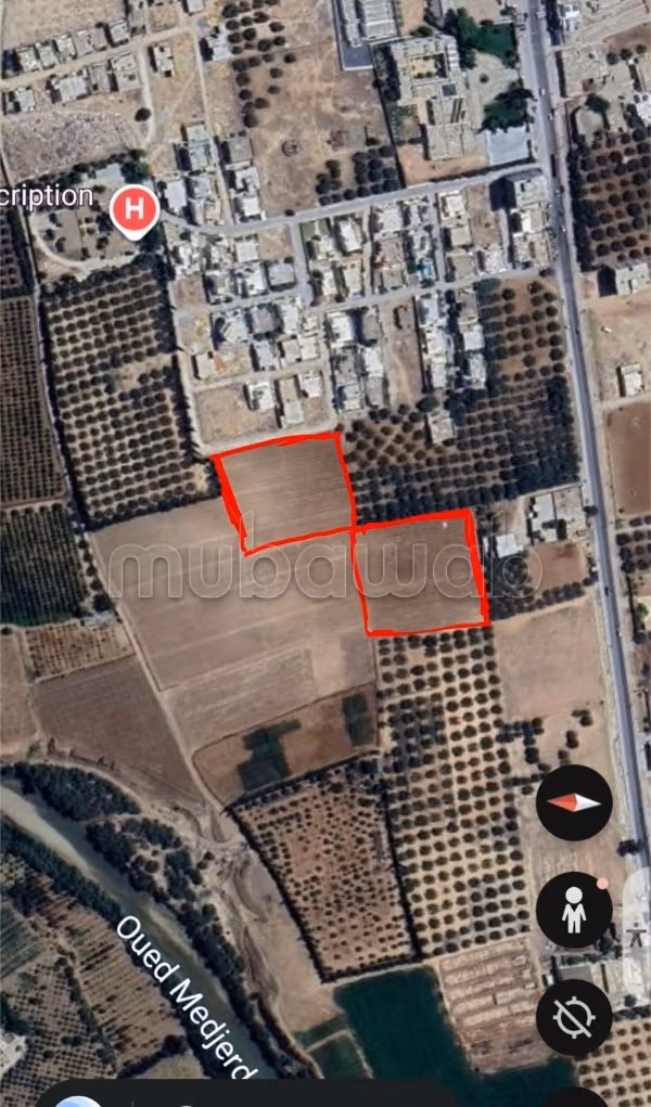 Land for sale in Testour - Béja governorate
