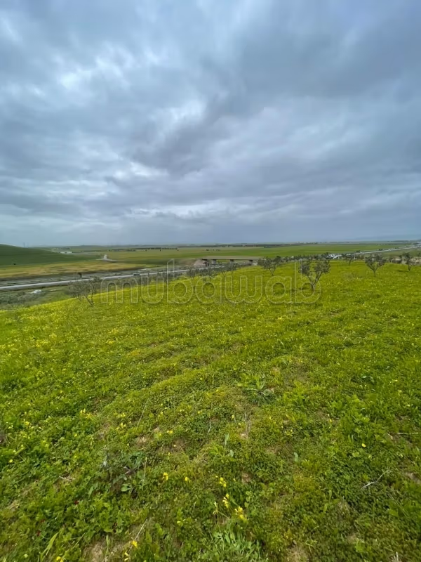 Terrain Agricole Sidi Thabet