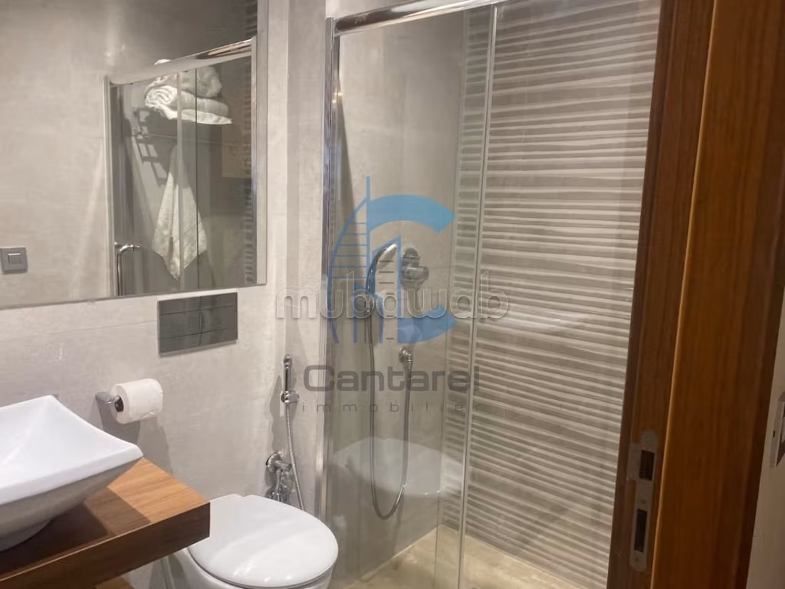 Furnished studio for sale or rent - Premium location facing Oasis Station, rooftop pool and titled parking