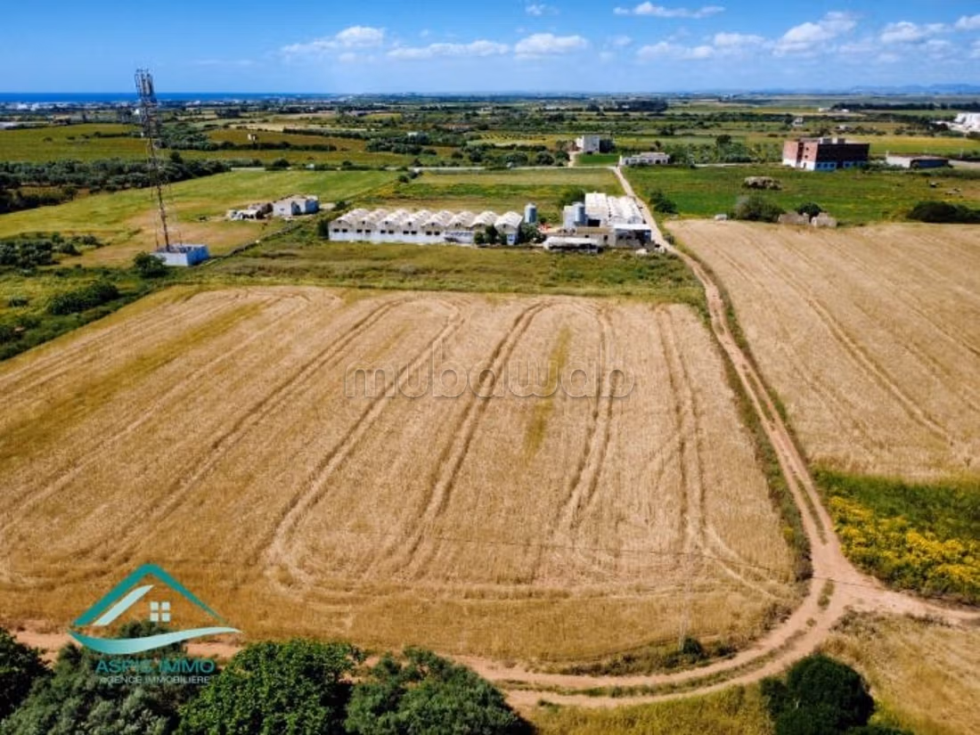Terreno agricolo 7308 m² a Kelibia