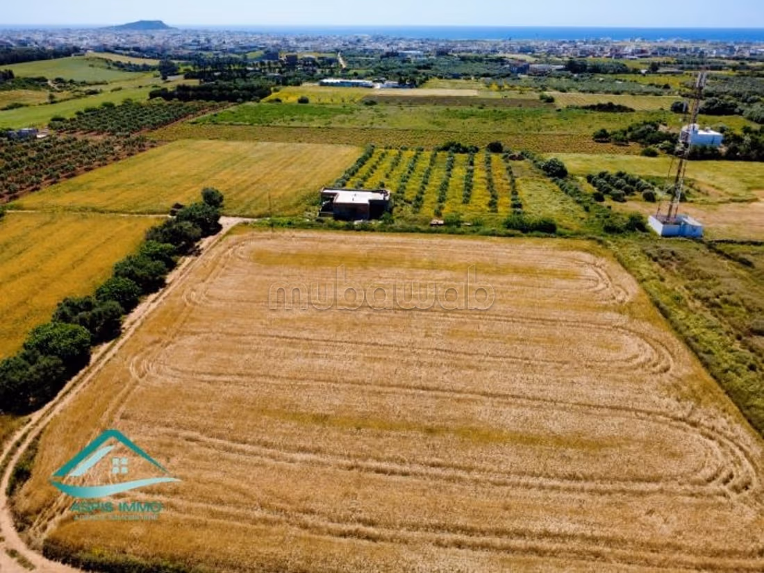 Terreno agricolo 7308 m² a Kelibia