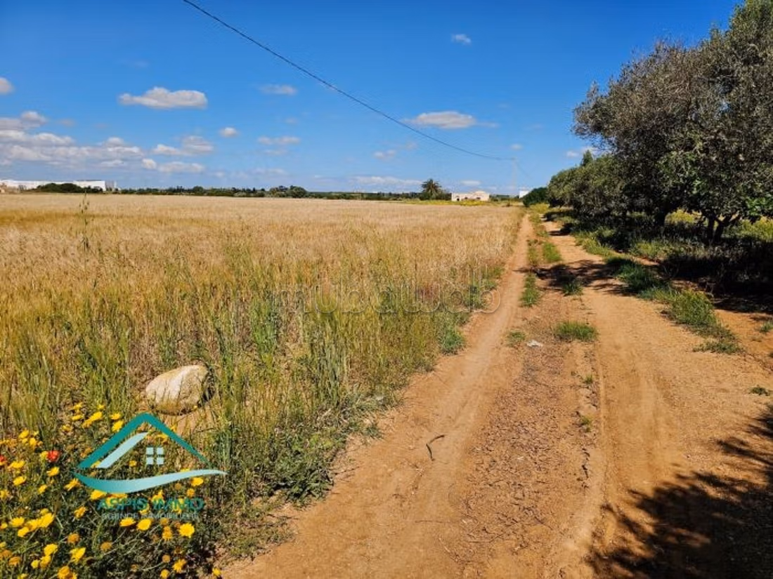 Terreno agricolo 7308 m² a Kelibia