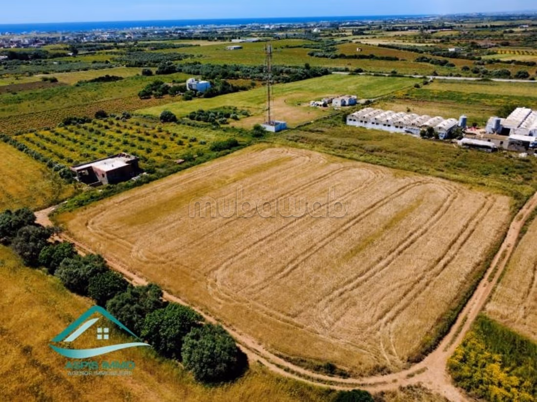 Terreno agricolo 7308 m² a Kelibia
