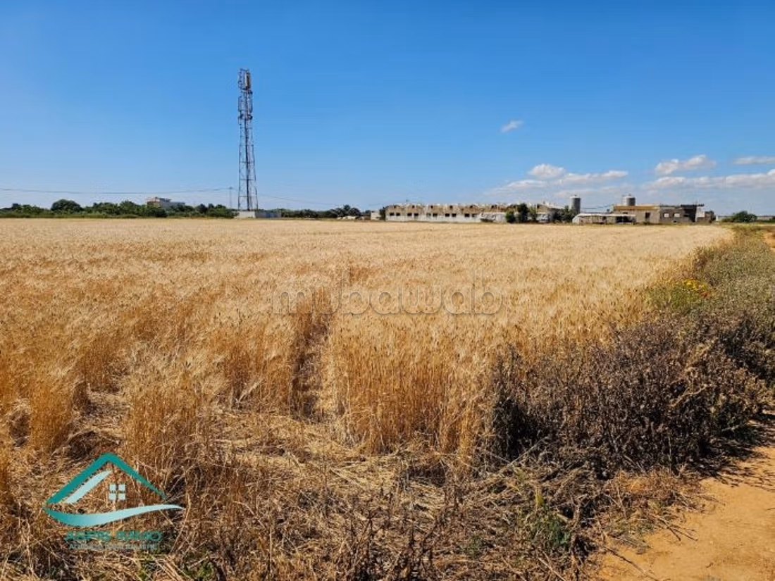 Terreno agricolo 7308 m² a Kelibia