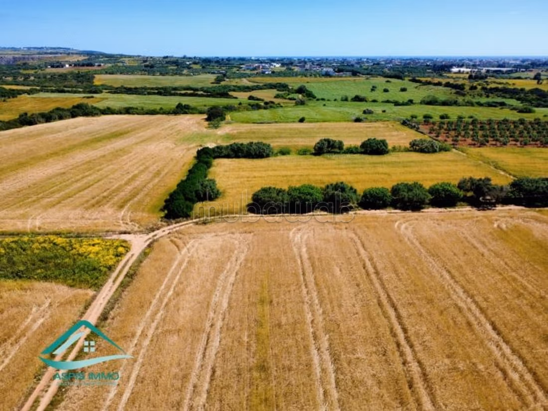 Terreno agricolo 7308 m² a Kelibia