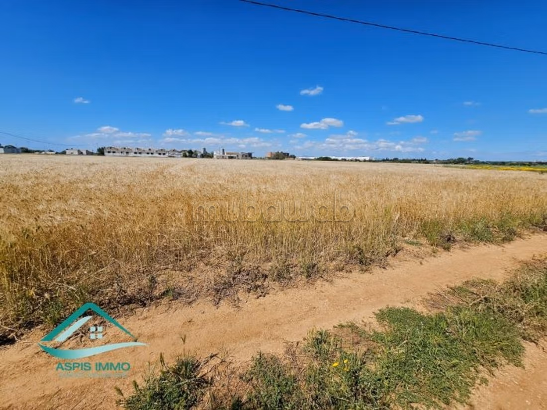 Terreno agricolo 7308 m² a Kelibia