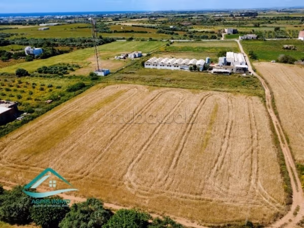Terrain agricole 7308 m² à Kelibia
