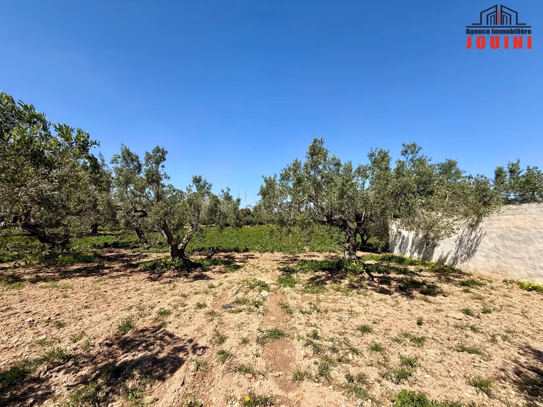 Senya 7000 m² a Beni Khiar Nabeul