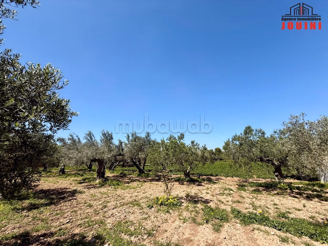 Senya 7000 m² a Beni Khiar Nabeul