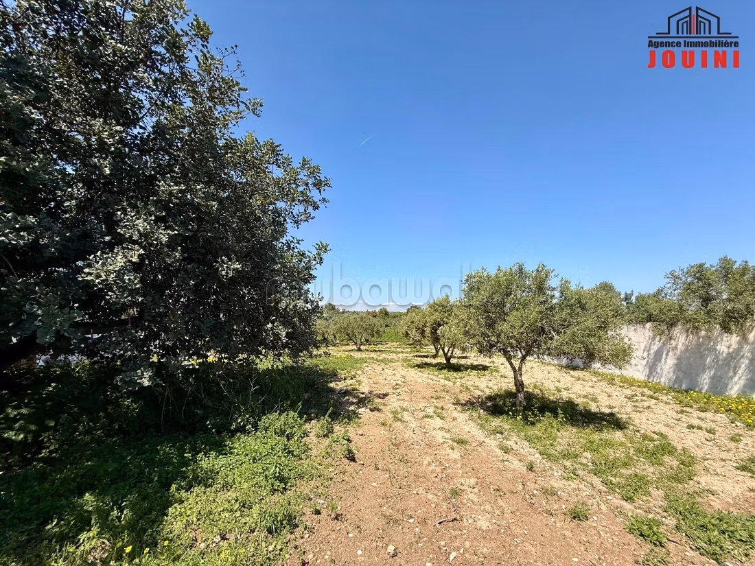 Senya 7000 m² a Beni Khiar Nabeul
