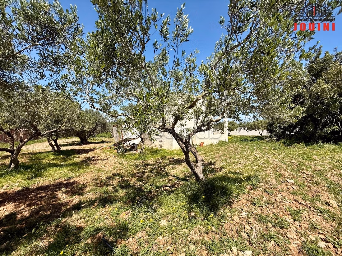 Senya 7000 m² a Beni Khiar Nabeul
