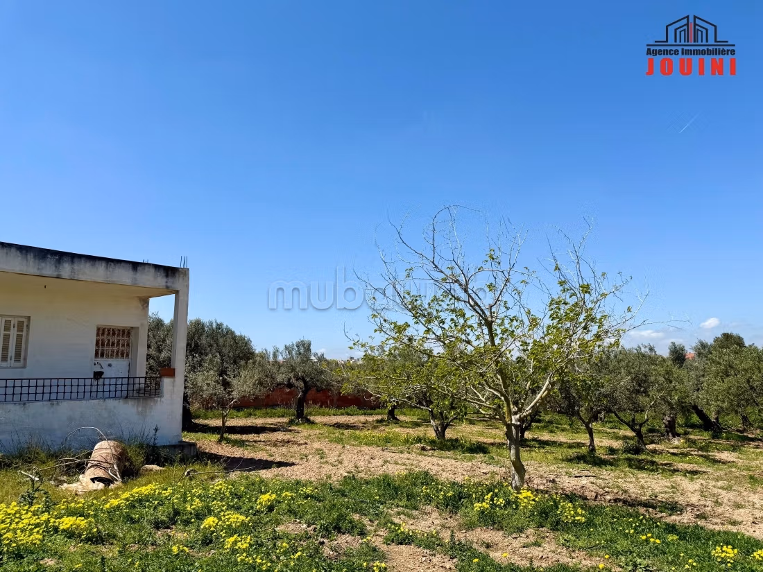 Senya 7000 m² a Beni Khiar Nabeul