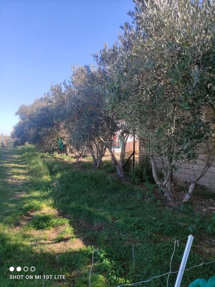 Registered farm with Tifelt house 1.4 hectares