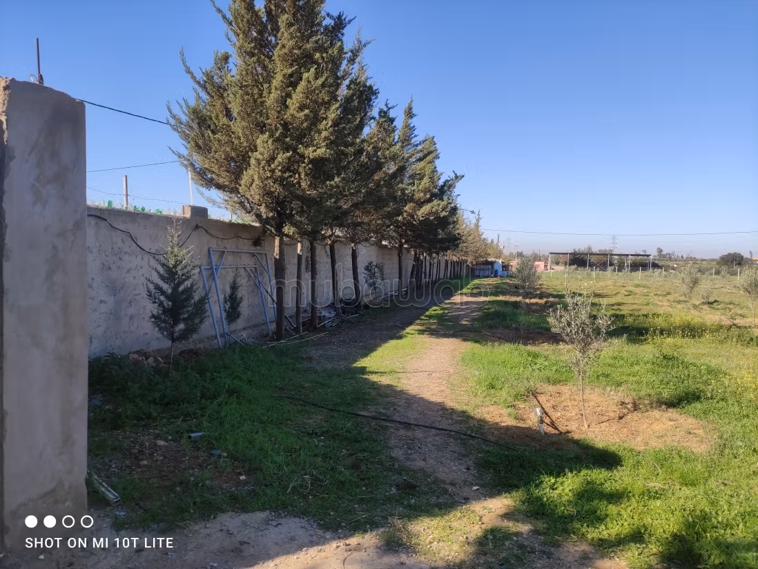 Registered farm with Tifelt house 1.4 hectares