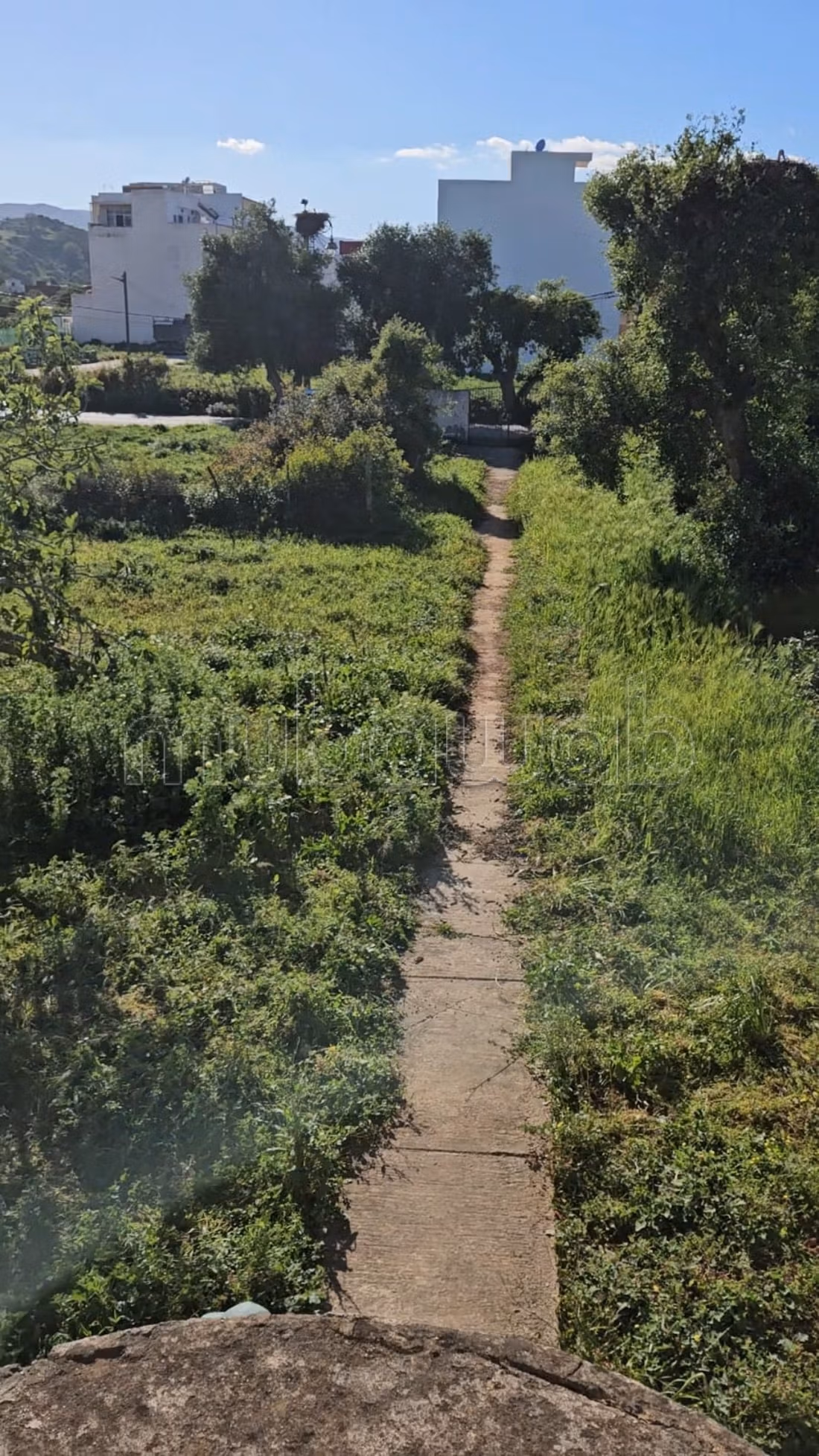Land kopen. Oppervlakte 2911 m²