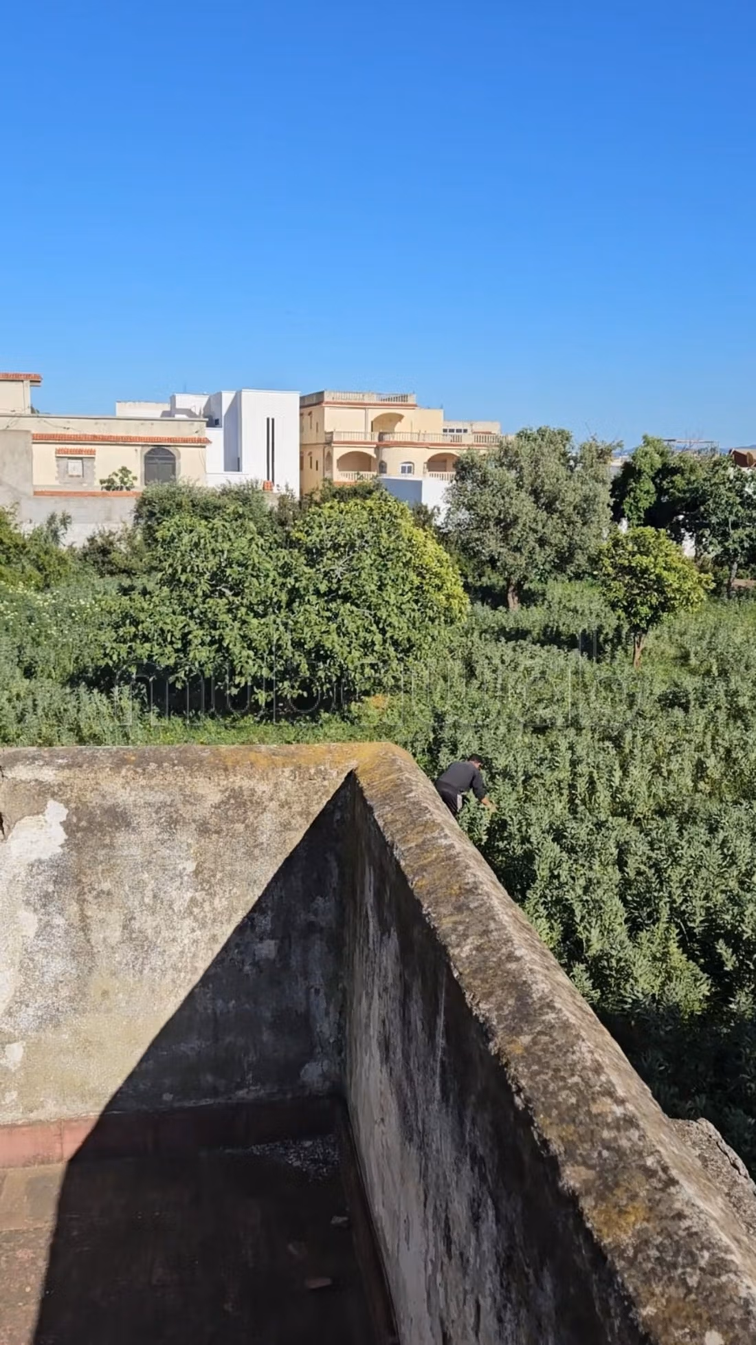 Land kopen. Oppervlakte 2911 m²
