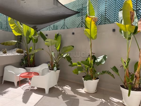 RARE appart quartier Racine / magnifique terrasse