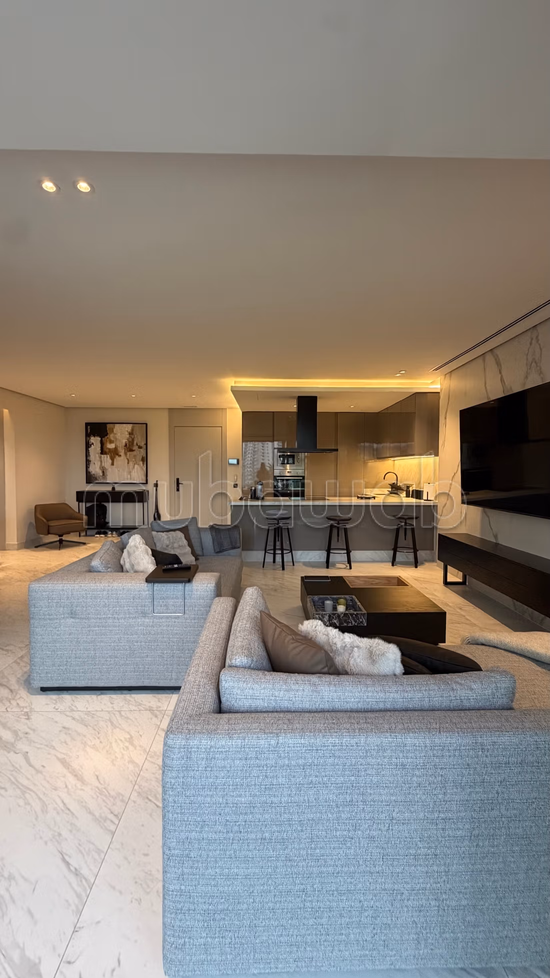 Luxurious High-End Apartment Never Inhabited