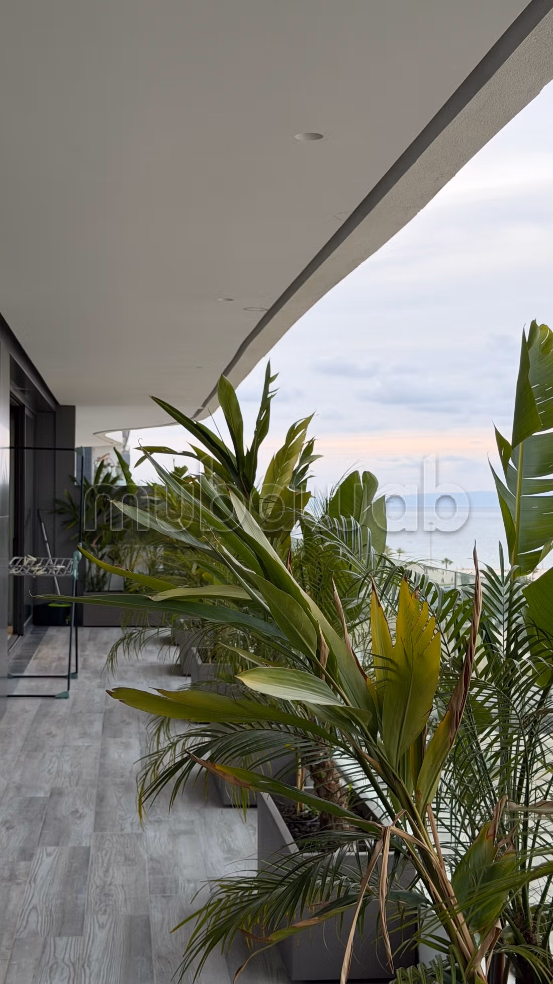 Luxurious High-End Apartment Never Inhabited