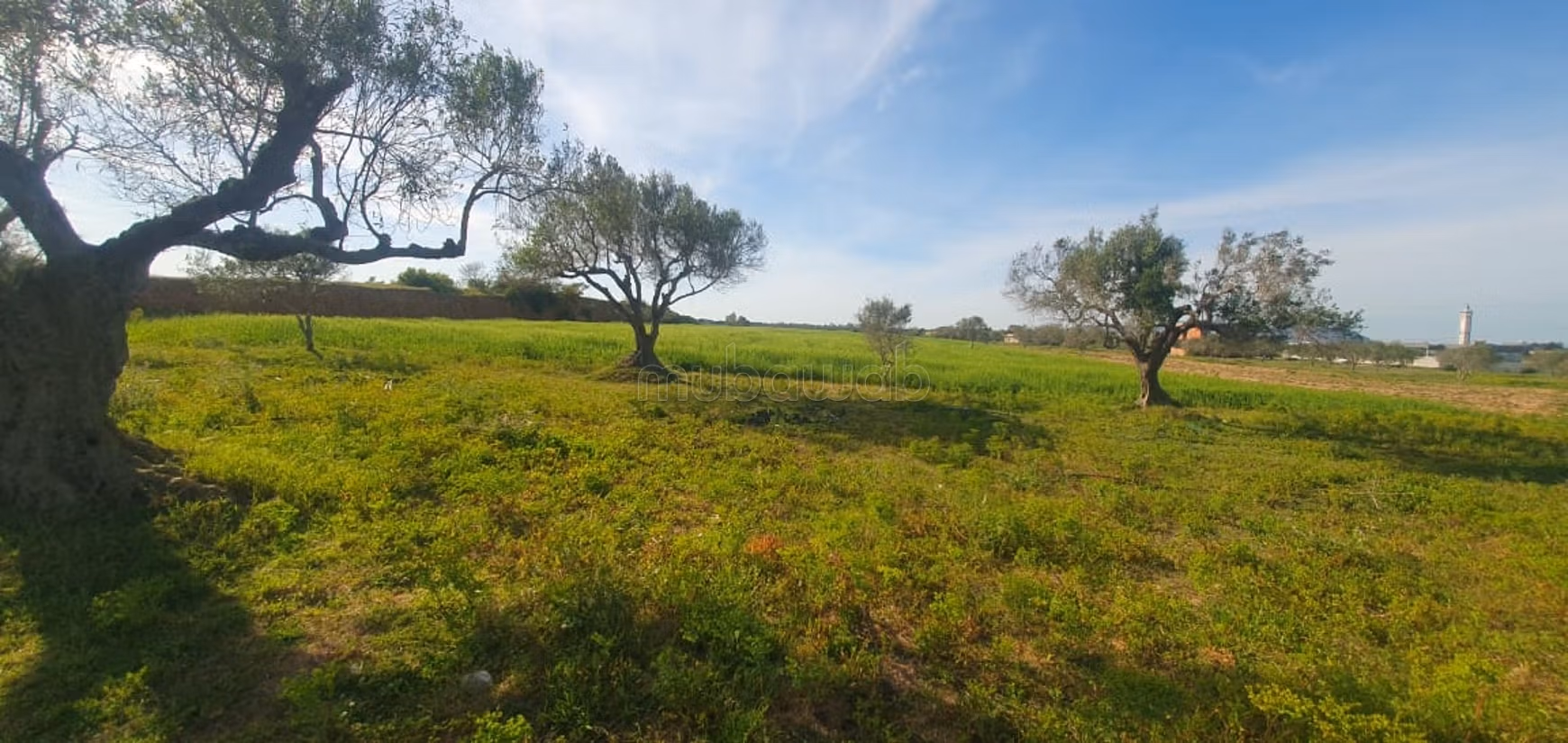 Terrain a vendre à 700m de la plage kerkouane