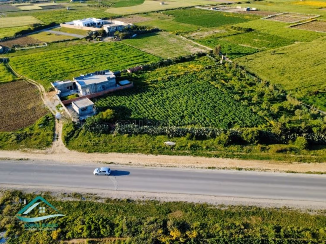 Terrain 3500 m² route ceinture Kelibia