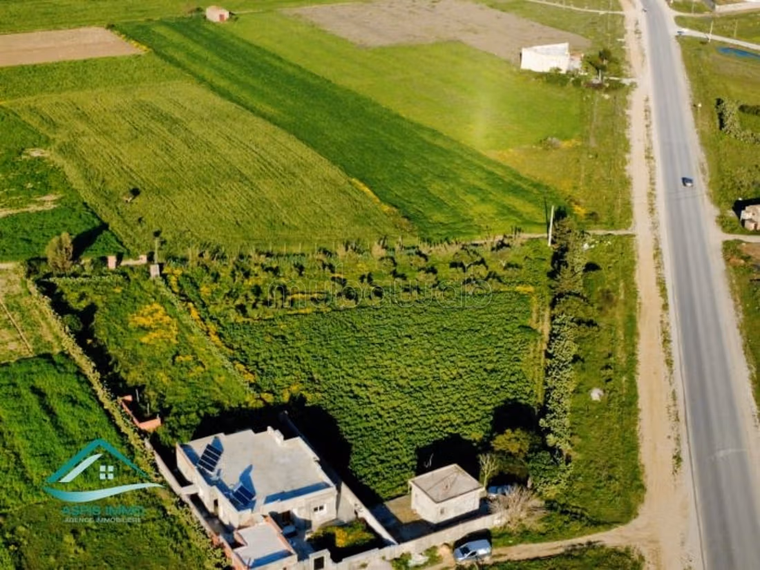Terrain 3500 m² route ceinture Kelibia