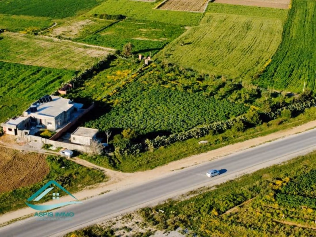 Terrain 3500 m² route ceinture Kelibia