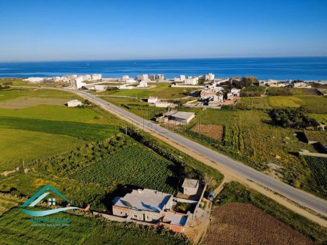 Terrain 3500 m² route ceinture Kelibia