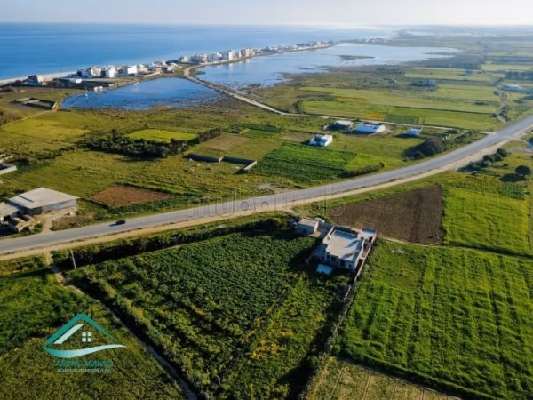 Terreno 3500 m² sulla strada cintura di Kelibia