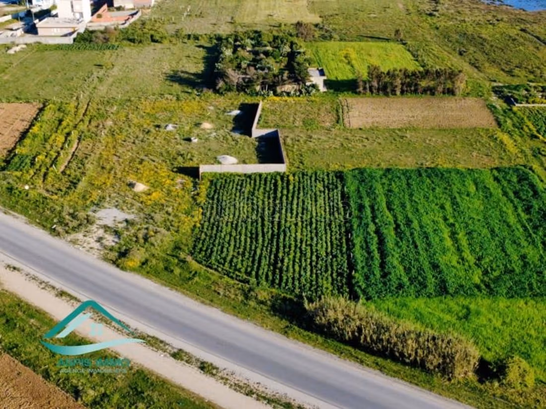 Terrain 1000 m² route de ceinture Kelibia