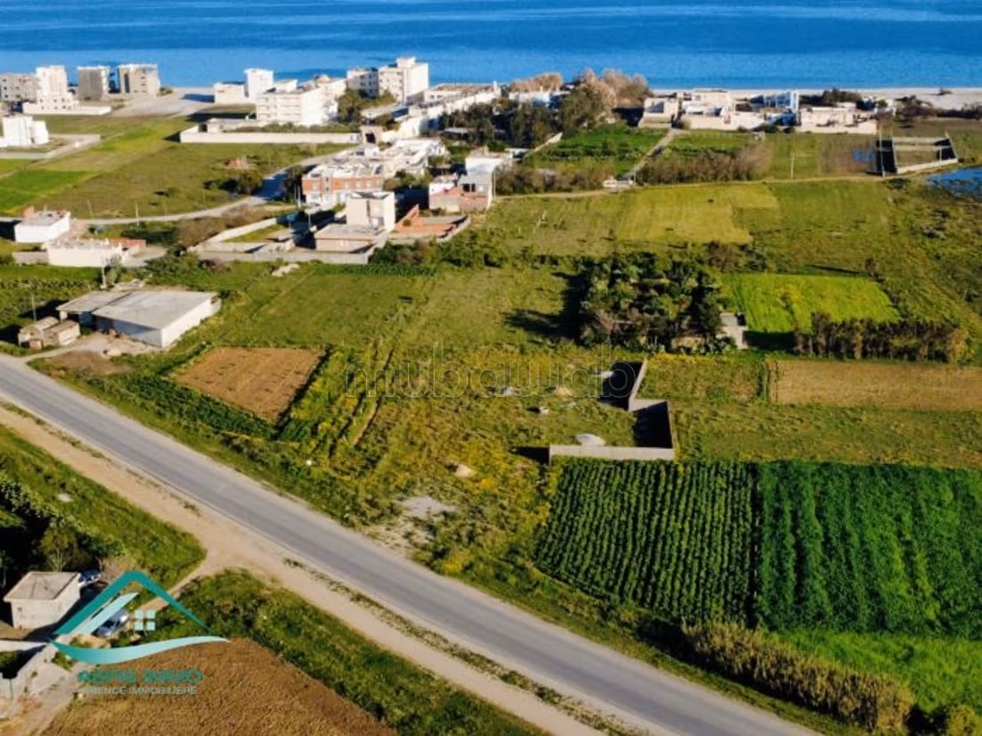 Terrain 1000 m² route de ceinture Kelibia