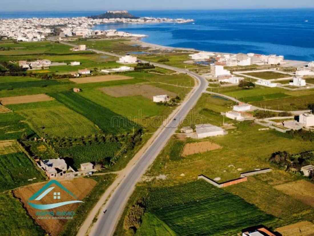 Terrain 1000 m² route de ceinture Kelibia