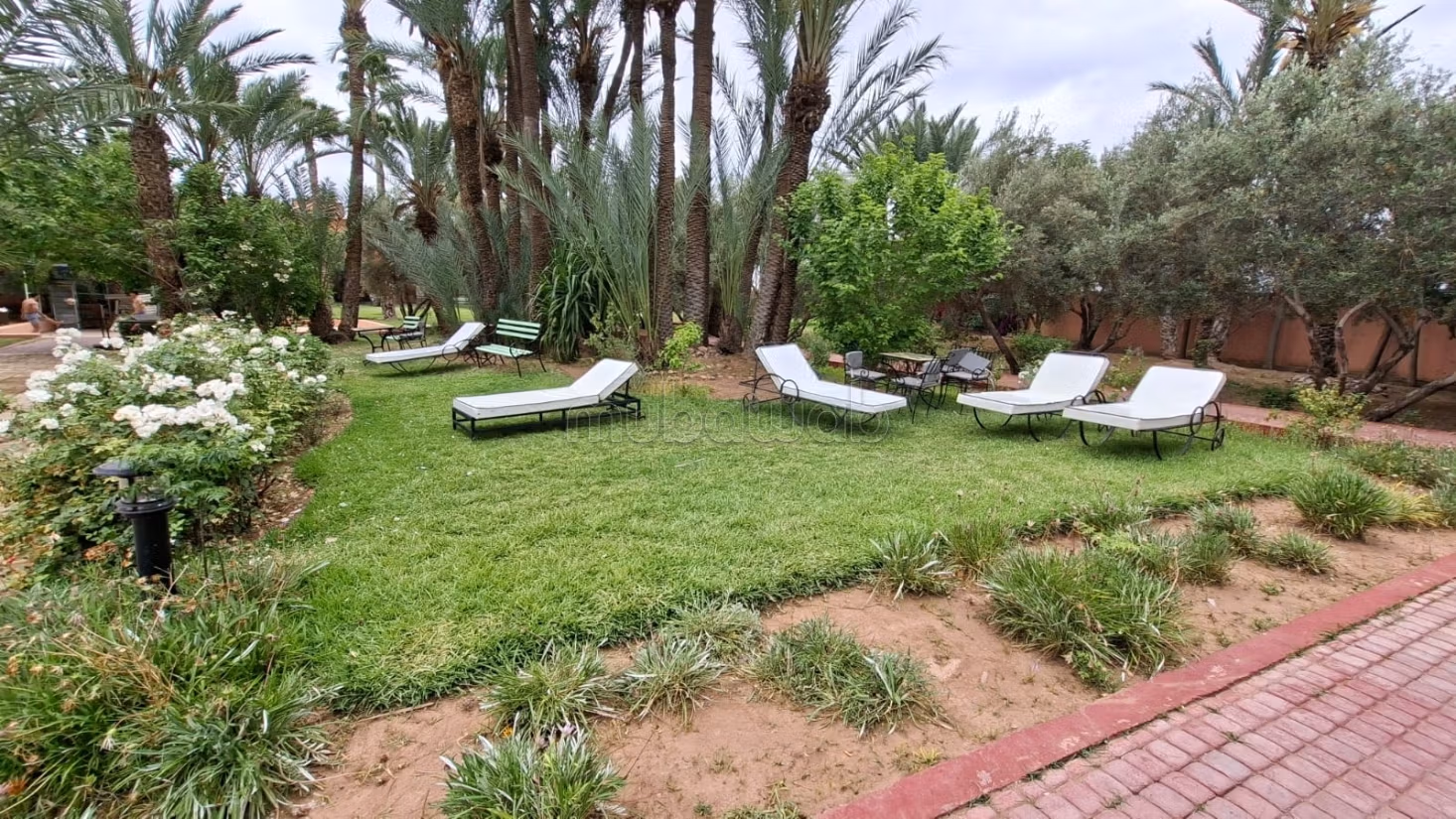 Achat vente rez de jardin Palmeraie — 2