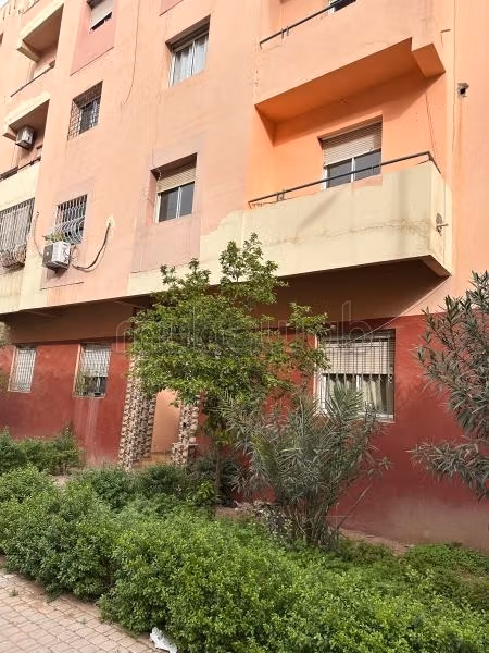 Appartement 1er etage Alfadel
