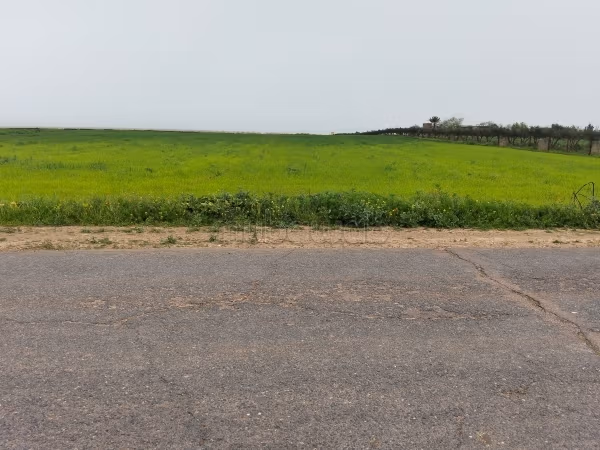Terrain en vente à Entrée Sud. Surface de 20000 m²