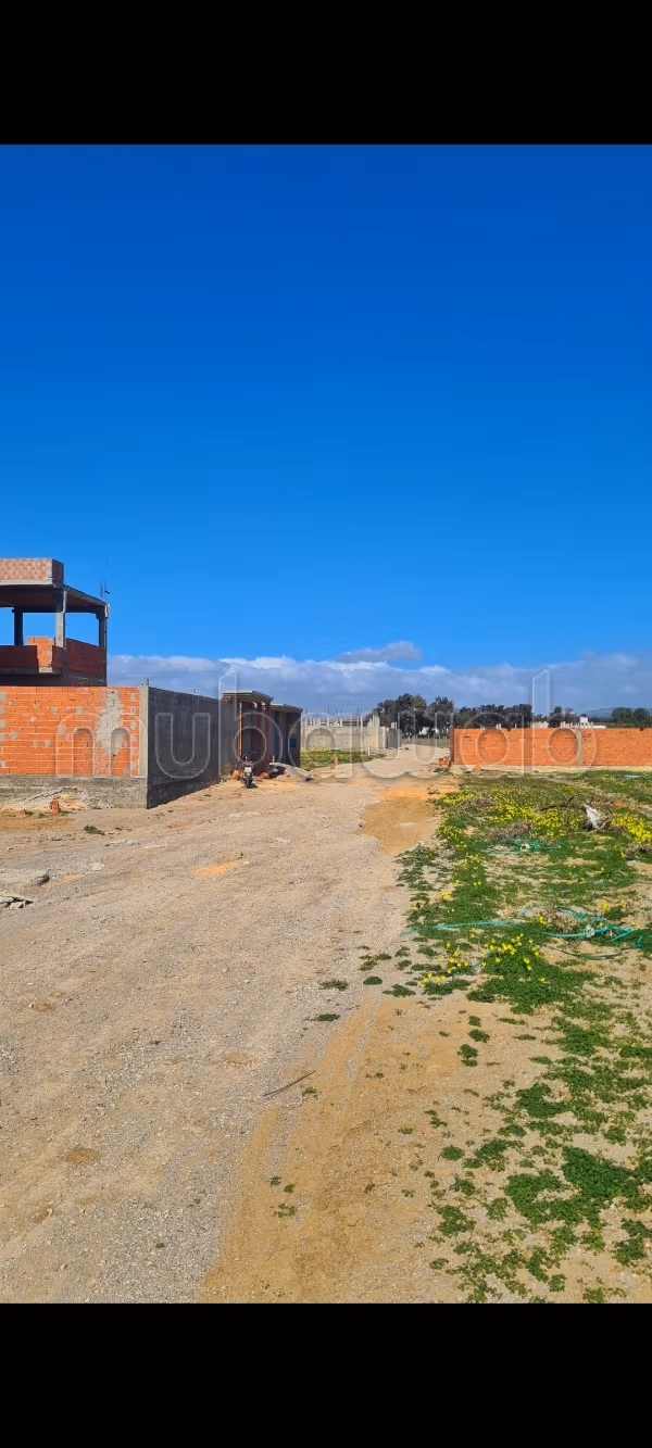 عنوان فردي ️