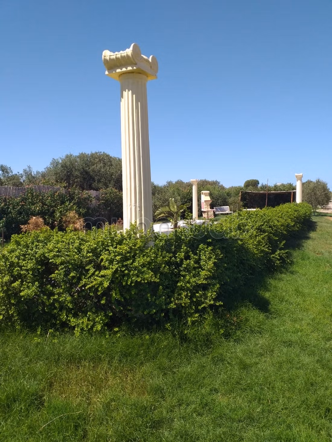 Terreno agricolo in vendita con ulivi e stalla