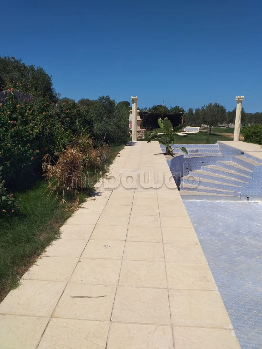 Terreno agricolo in vendita con ulivi e stalla