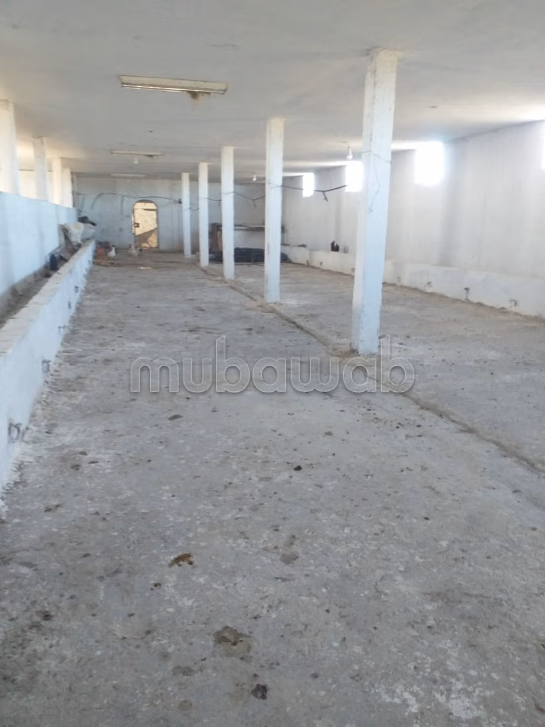 Terreno agricolo in vendita con ulivi e stalla