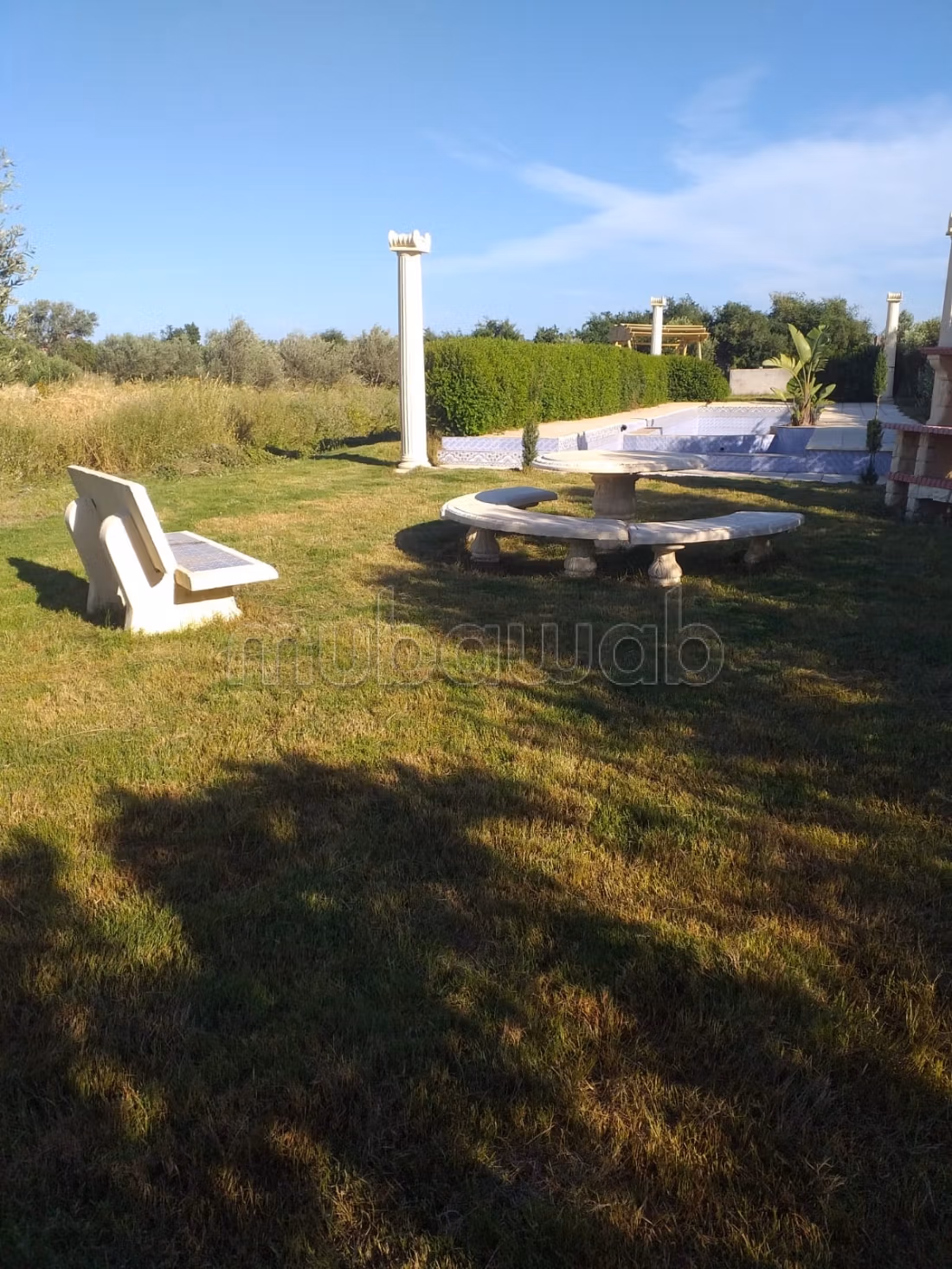 Terreno agricolo in vendita con ulivi e stalla