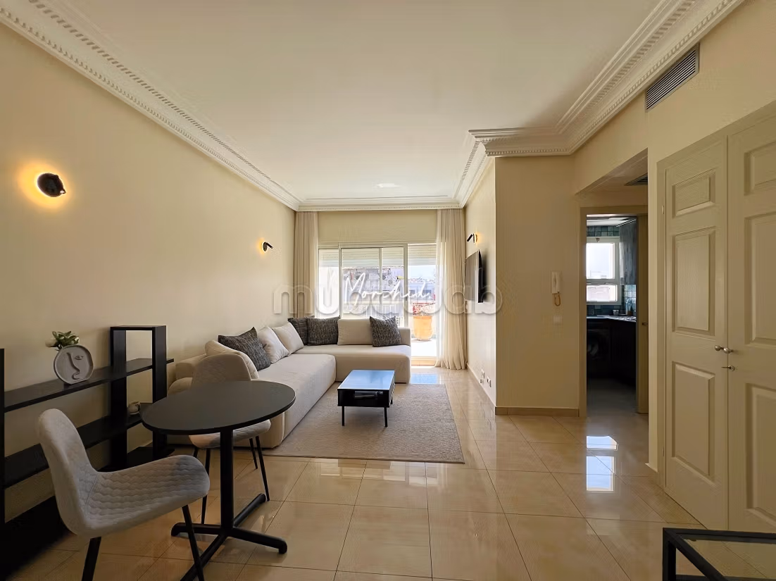 Bel appartement à Gauthier dernier étage avec grande terrasse entièrement meublé — 2