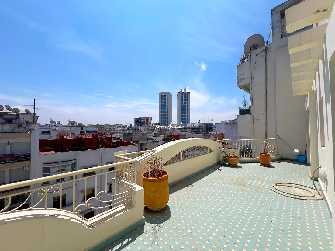 Bel appartement à Gauthier dernier étage avec grande terrasse entièrement meublé — 5