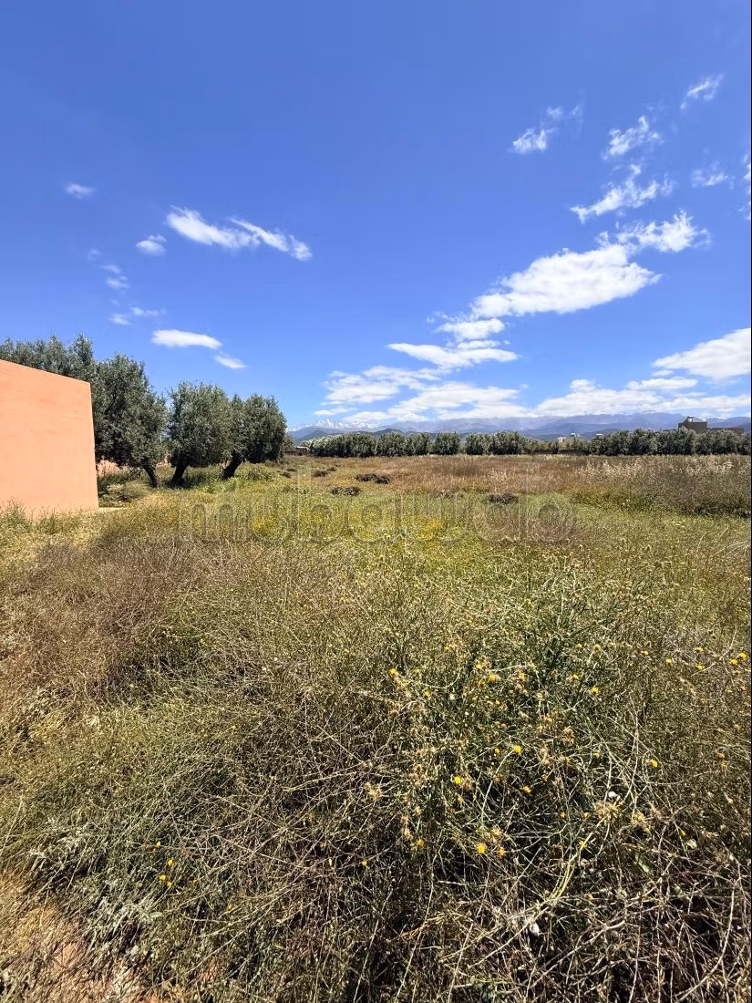 Beau terrain à la vente à Route de l'Ourika.
Surface de 10850 m²