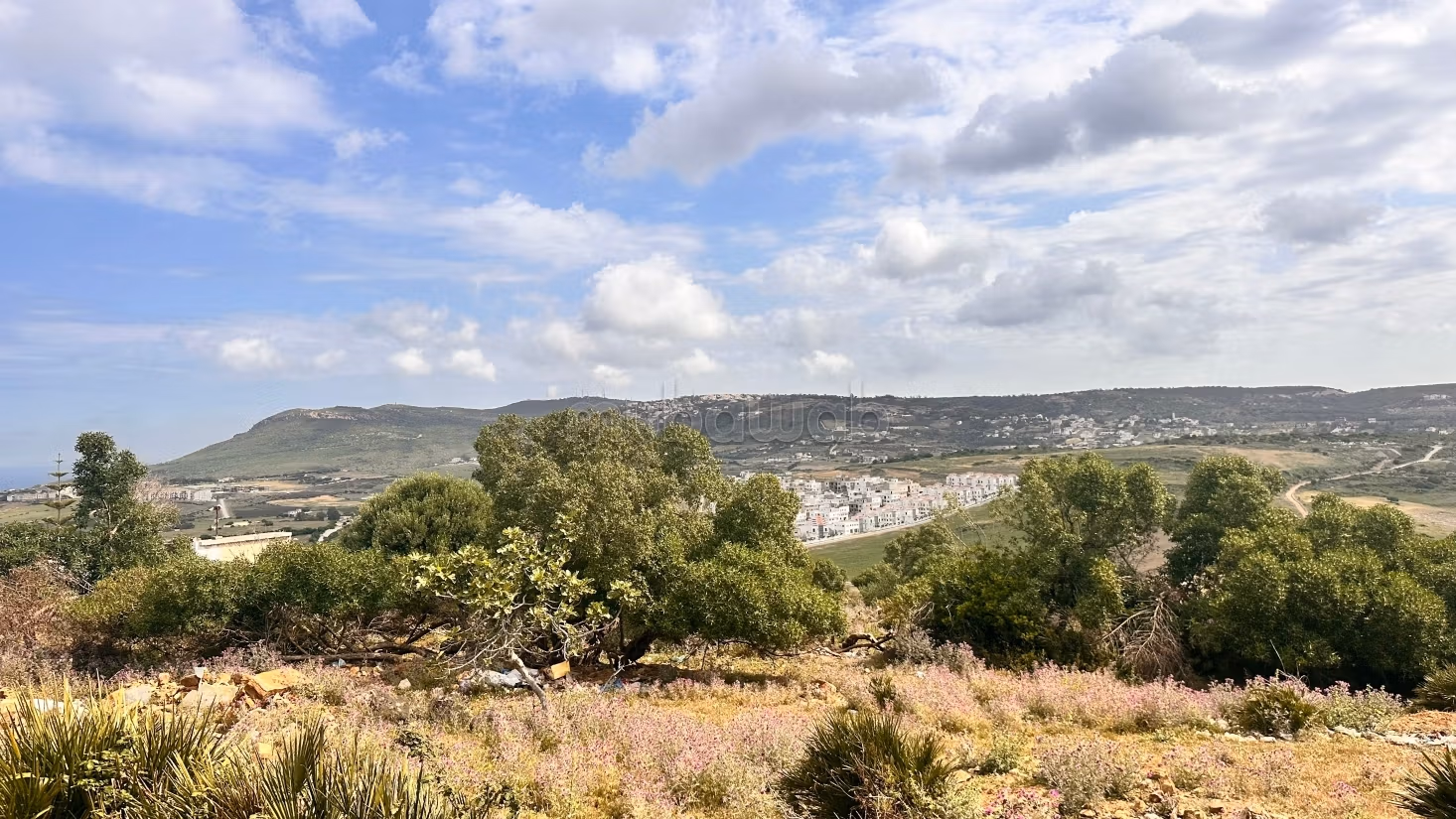 Terrain en vente à jbila. 
Surface de 1165 m²