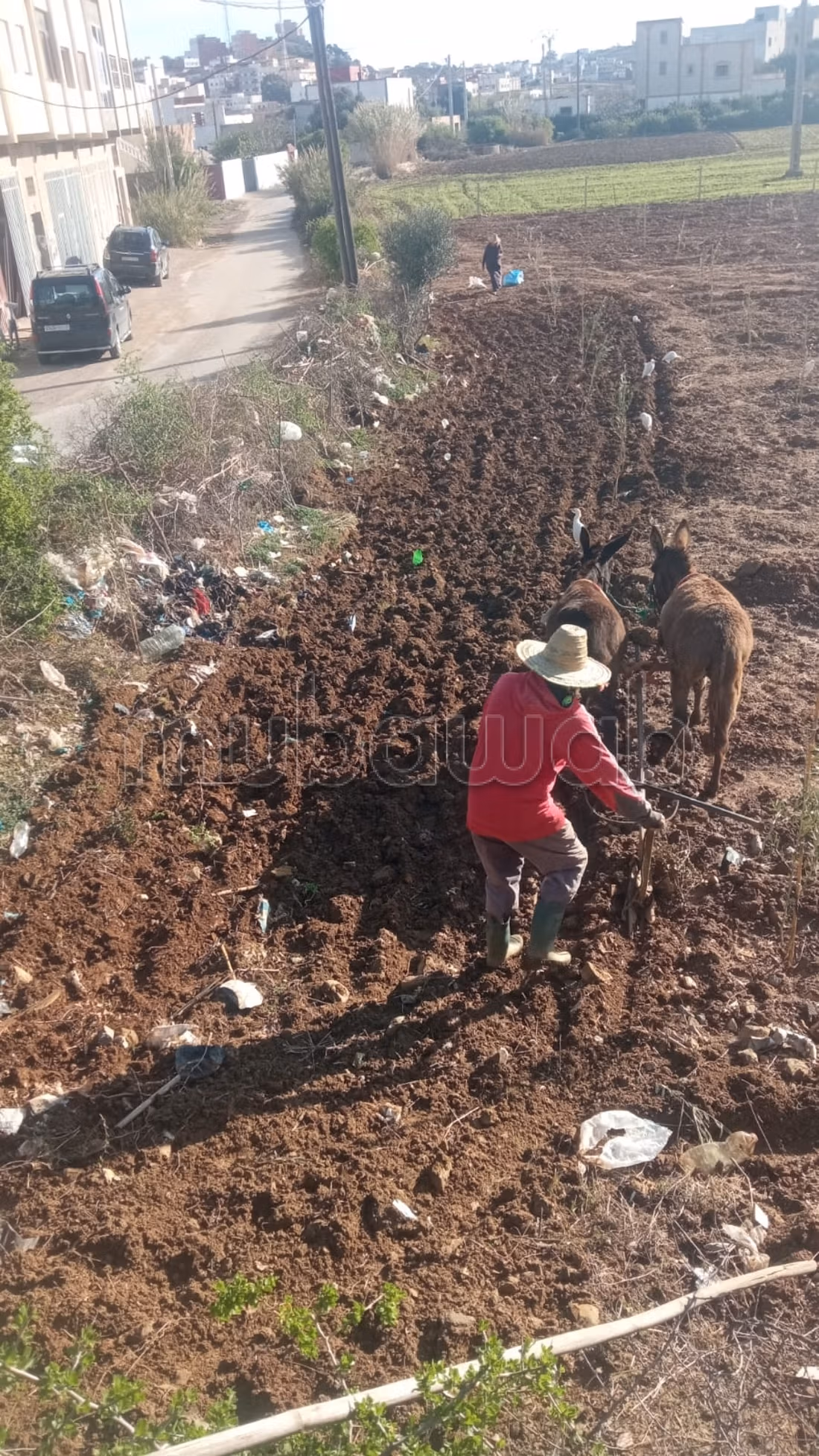 أرض رائعة للبيع محفظة بطريق أزلا بعد برامج بني معدن.
المساحة الإجمالية 3800 م²