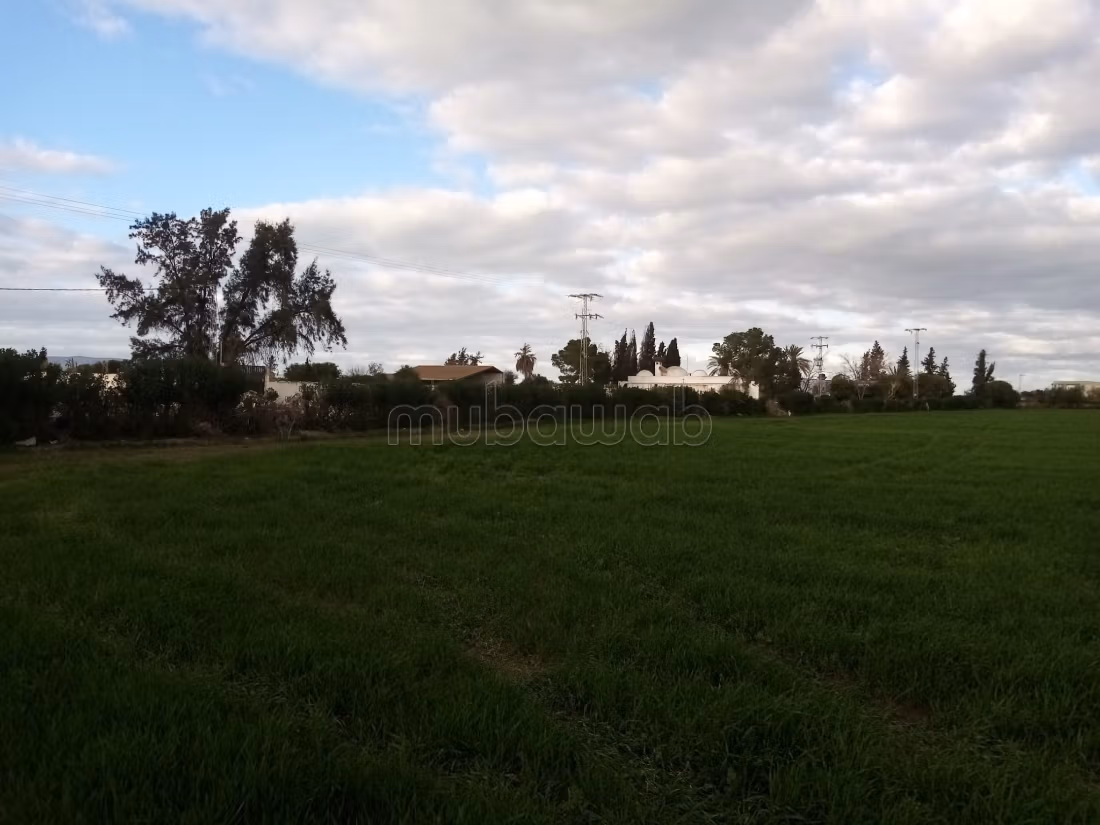 Terrain agricole jedaida
