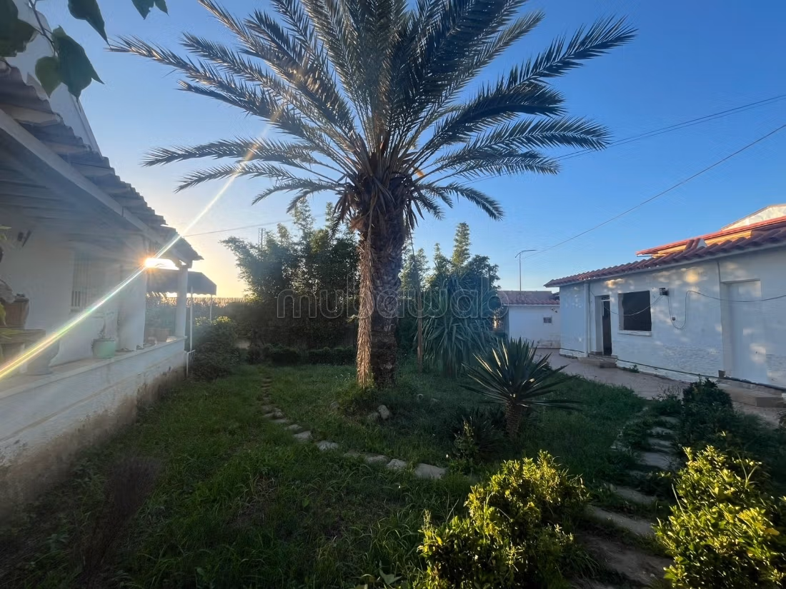 Fabulous house for sale. Total area 1520 m². Traditional living room